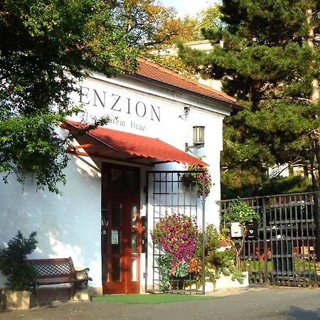 Penzion Na Starem Brne Brno Exteriör bild